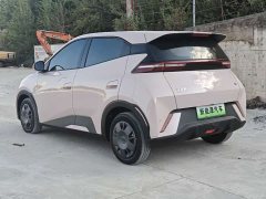 BYD Seagull 305km Vitality Edition - ფოტო 9