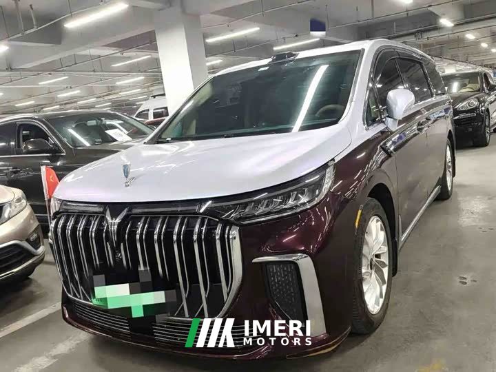 Voyah Lantu Dreamchaser Low Carbon Edition Family