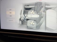 FAW Hongqi Tiangong 08 520 Max RWD Version - ფოტო 5