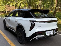 FAW Hongqi Tiangong 08 520 Max RWD Version - ფოტო 9