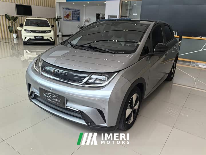 BYD Dolphin 420km Fashion Edition - ავტომობილი ჩინეთიდან