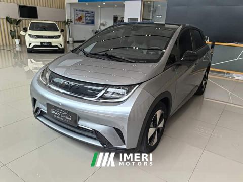 2023 BYD Dolphin 420km Fashion Edition