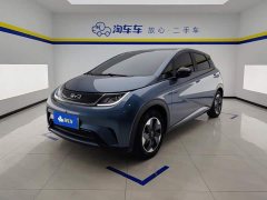 BYD Dolphin 420km Freedom Edition - ფოტო 1