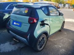 Chery Ant Edition 30kW 301km - ფოტო 3