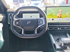 Jetour Jietu Liberator 2.0TD XWD Conquest - ფოტო 15