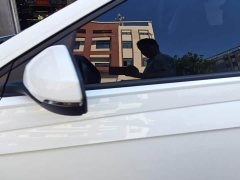 Volkswagen Polo 2023 Plus 1.5L Automatic Colorful Tech Edition - ფოტო 9