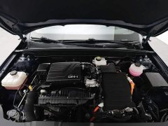 BYD Qin PLUS Glory Edition DM-i 55KM Leading - ფოტო 6