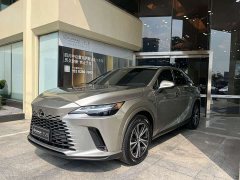 Lexus RX 350h FWD Pleasure Edition - ფოტო 2