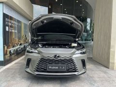 Lexus RX 350h FWD Pleasure Edition - ფოტო 6