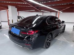 BMW 5 Series 530Li Luxury M Sport Package - ფოტო 10