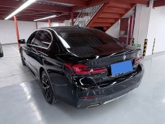 BMW 5 Series 530Li Luxury M Sport Package - ფოტო 8