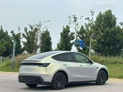 Tesla Model Y Rear-Wheel Drive - ფოტო 7