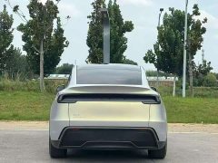 Tesla Model Y Rear-Wheel Drive - ფოტო 8