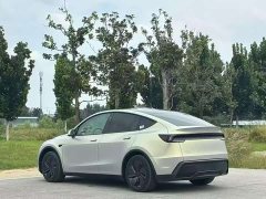 Tesla Model Y Rear-Wheel Drive - ფოტო 9
