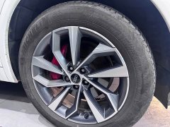 Audi Q5L 40 TFSI Luxury Dynamic - ფოტო 16