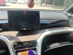 BYD Song Pro New Energy Champion Edition DM-i 110KM Excellence - ფოტო 13