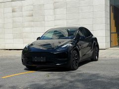 Tesla Model Y Long Range All-Wheel Drive - ფოტო 1