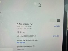 Tesla Model Y Long Range All-Wheel Drive - ფოტო 11