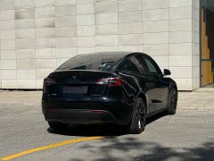 Tesla Model Y Long Range All-Wheel Drive - ფოტო 19