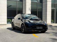 Tesla Model Y Long Range All-Wheel Drive - ფოტო 3