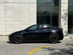 Tesla Model Y Long Range All-Wheel Drive - ფოტო 4