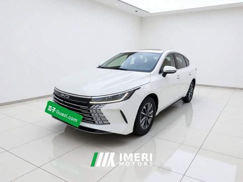 2024 BYD Destroyer 05 Glory Edition DM-i 55KM Luxury - ავტომობილი ჩინეთიდან