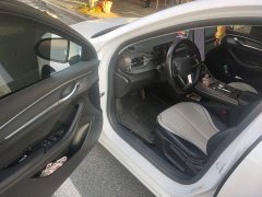 BYD Destroyer 05 Glory Edition DM-i 55KM Luxury - ფოტო 12