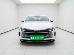 BYD Destroyer 05 Glory Edition DM-i 55KM Luxury - ფოტო 2