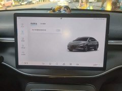 BYD Destroyer 05 Glory Edition DM-i 55KM Luxury - ფოტო 20