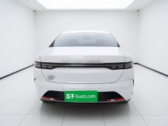 BYD Destroyer 05 Glory Edition DM-i 55KM Luxury - ფოტო 3