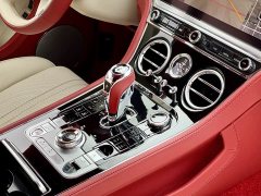 Bentley Continental 4.0T GT V8 - ფოტო 17
