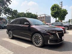 Wuling Kaijet 2023 2.0L DHT Luxury - ფოტო 3