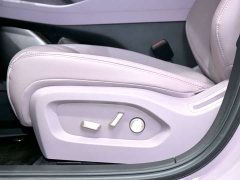 Nio Lerado L60 2024 60kWh Rear-Wheel Drive - ფოტო 11