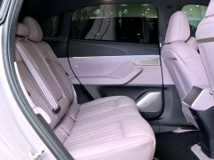 Nio Lerado L60 2024 60kWh Rear-Wheel Drive - ფოტო 12