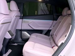Nio Lerado L60 2024 60kWh Rear-Wheel Drive - ფოტო 6