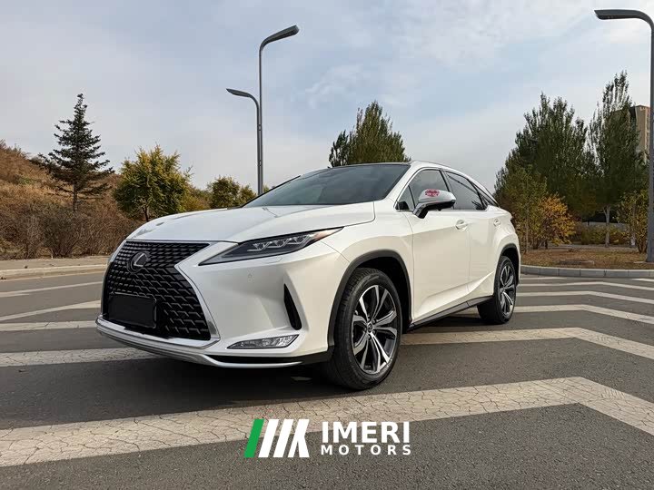 Lexus RX 2020 300 AWD Elegance National VI - ავტომობილი ჩინეთიდან