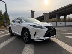 Lexus RX 2020 300 AWD Elegance National VI - ფოტო 3