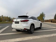 Lexus RX 2020 300 AWD Elegance National VI - ფოტო 6