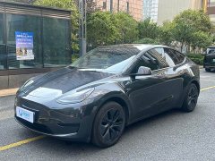 Tesla Model Y Rear-Wheel Drive - ფოტო 1