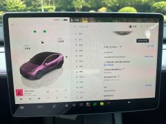 Tesla Model Y Rear-Wheel Drive - ფოტო 11
