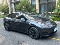 Tesla Model Y Rear-Wheel Drive - ფოტო 2