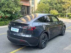 Tesla Model Y Rear-Wheel Drive - ფოტო 3