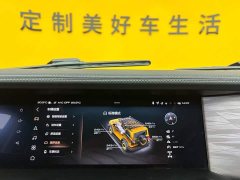 Tank 300 2022 2.0T Frontier Limited Edition - ფოტო 16