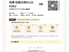 Haval Big Dog PLUS New Energy 2026 Hi4 150km Trendy EV Edition - ფოტო 19