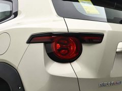 Haval Big Dog PLUS New Energy 2026 Hi4 150km Trendy EV Edition - ფოტო 7