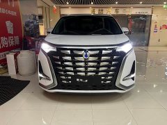 Denza BYD Denza D9 2022 DM-i 970 AWD Premium Edition - ფოტო 2