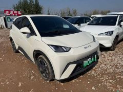 BYD Seagull Flying Edition - ფოტო 2