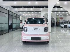 FAW Besturn Xiaoma 2025 222km Dynamic Edition - ფოტო 2