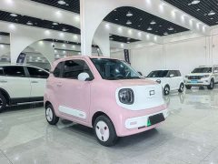FAW Besturn Xiaoma 2025 222km Dynamic Edition - ფოტო 3