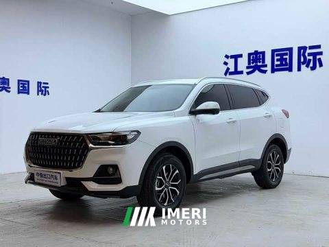 2023 Haval H6 National Trend Edition 1.5T Automatic Urban Version - ავტომობილი ჩინეთიდან